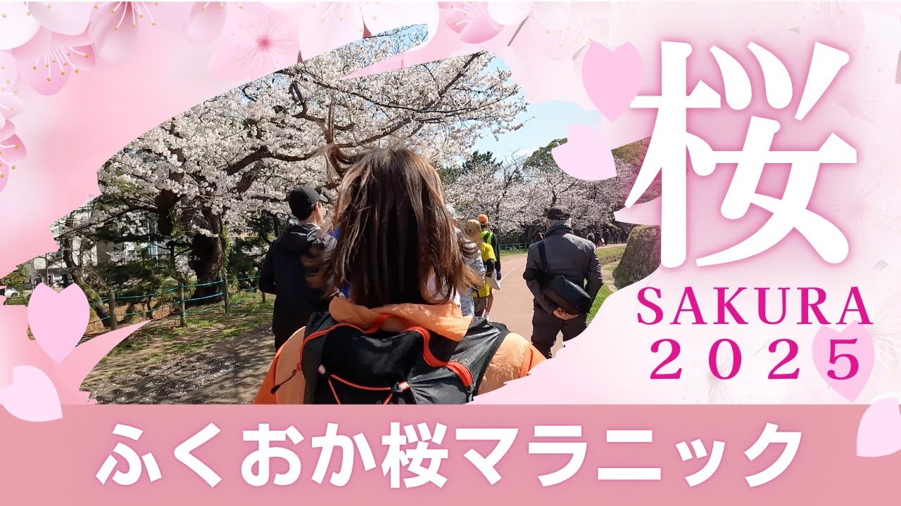 ふくおか桜マラニック〜花より団子まったりリハビリ〜