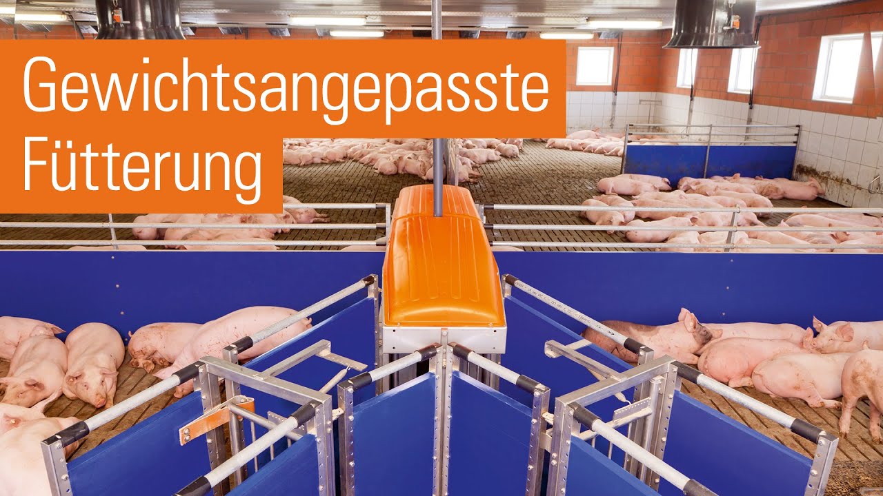 Automatische Sortierwaage | TriSortpro