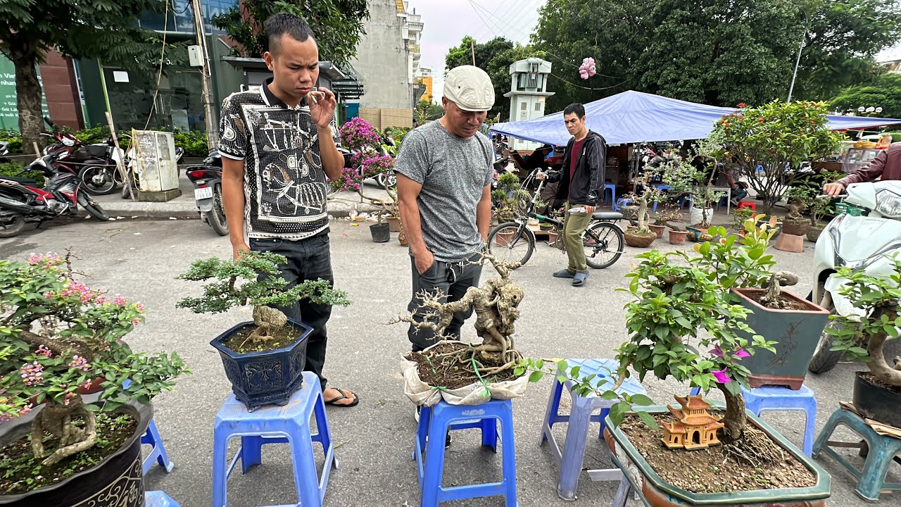 THUẬN B&Aacute;N RỒI - TRUNG R&Acirc;U XẢ H&Agrave;NG ĐẸP, CHỢ PHI&Ecirc;N BONSAI VẠN PH&Uacute;C CUỐI TUẦN