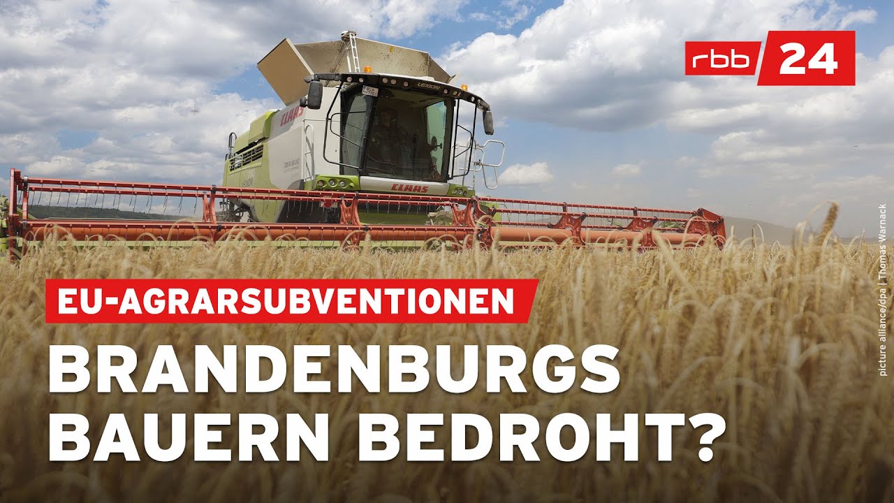 Brandenburger Landwirte warnen vor EU-Agrark&uuml;rzungen