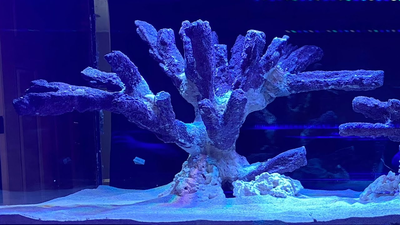Aquascaping the 400 gallon reef tank