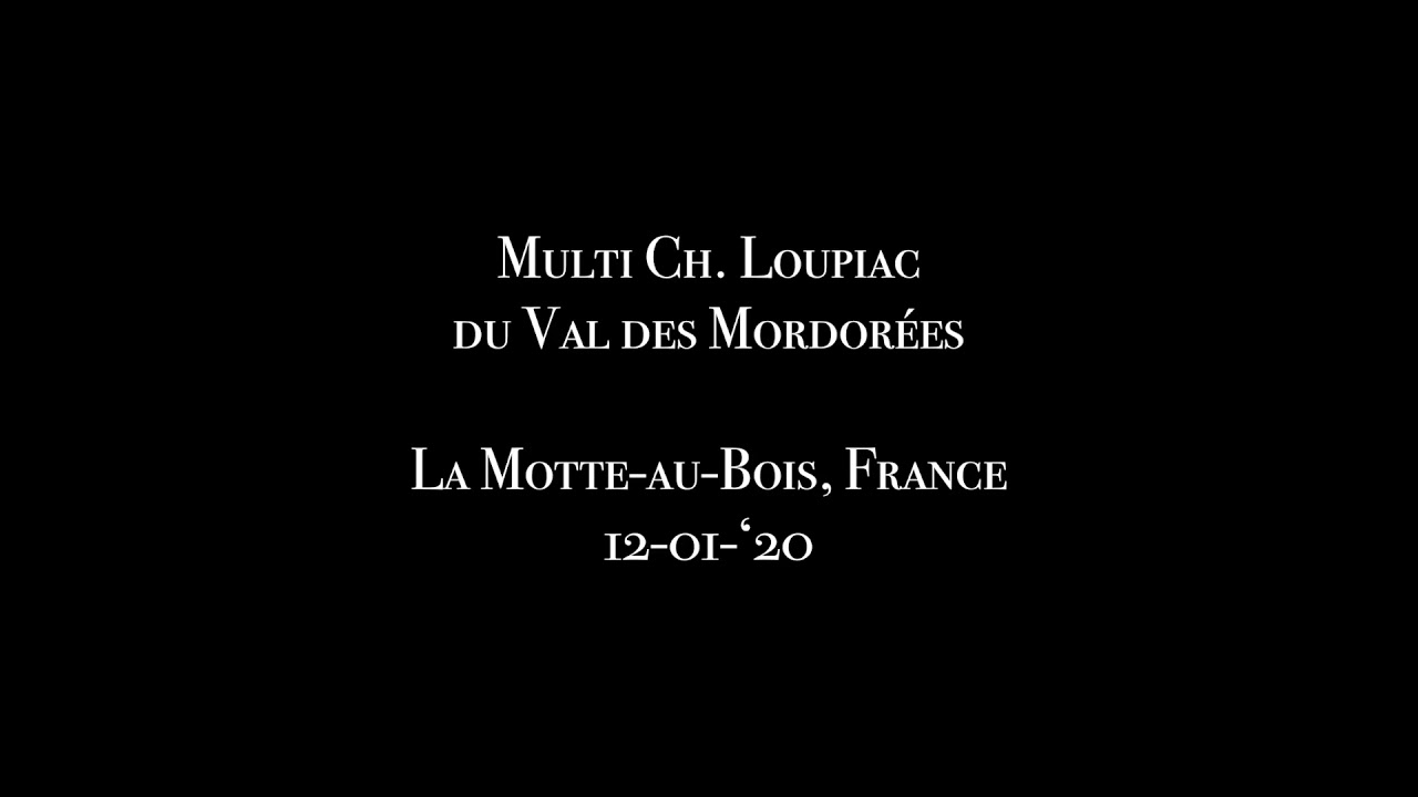 Chasse au faisan