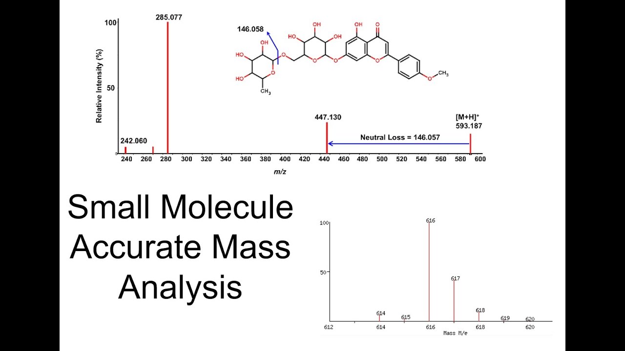 13  Small Molecule Accurate Mass Analysis