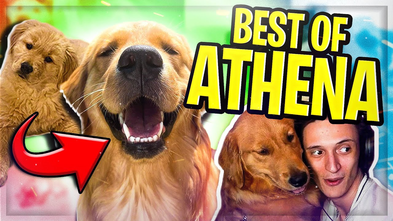 IL PRIMO ANNO DI ATHENA [BEST OF ATHENA]
