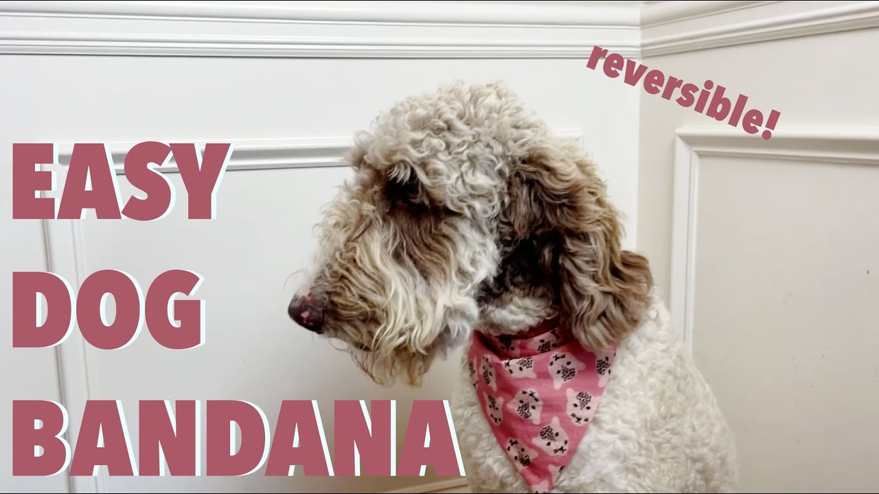 Easy Dog Bandana Pattern with Sewing Instructions + Tutorial | DIY DOG COLLAR BANDANA