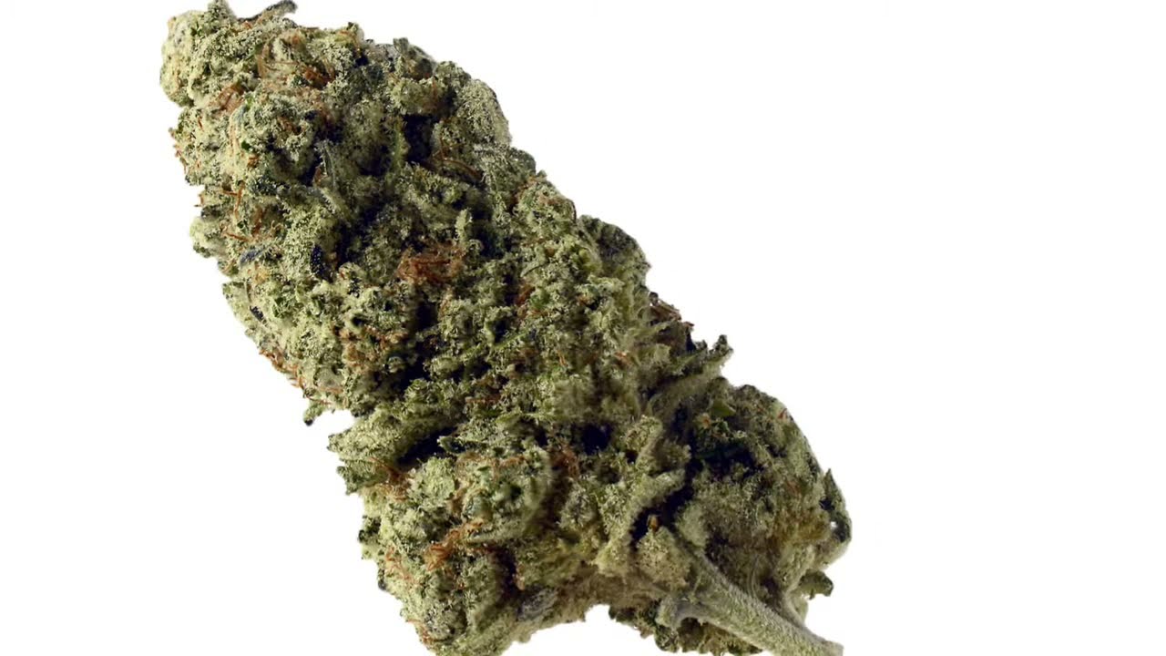 Amsterdam Genetics - Cannabis Strain Series #7 - STRAIN TV