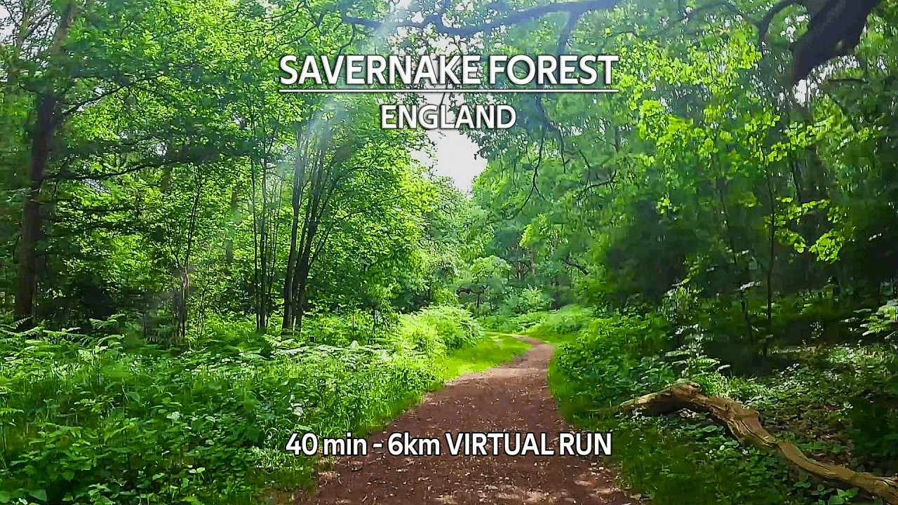 Run Across Europe – Day 20: Savernake Forest, England [4K POV Virtual Run]