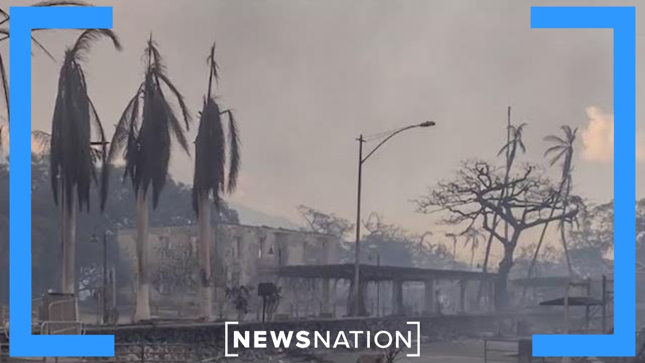 Maui Fires: What we know about evacuation, search efforts | NewsNation Live