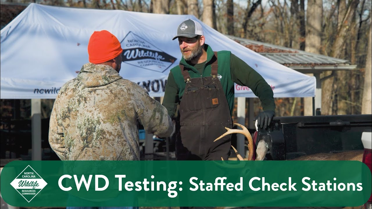 CWD Testing: Using Staffed Check Stations