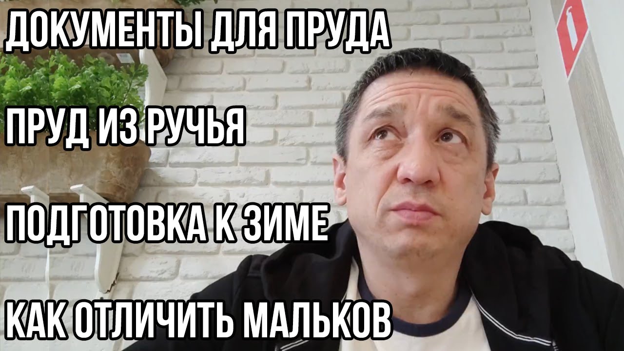 Ответы на вопросы. Разрешение для пруда, пруд из ручья, подготовка к зиме, мальки осетра.