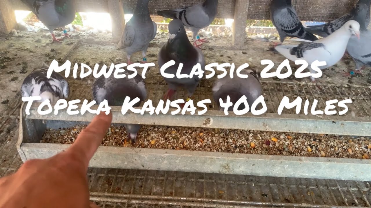 Midwest Classic 2025 (Topeka Kansas 400 Miles)