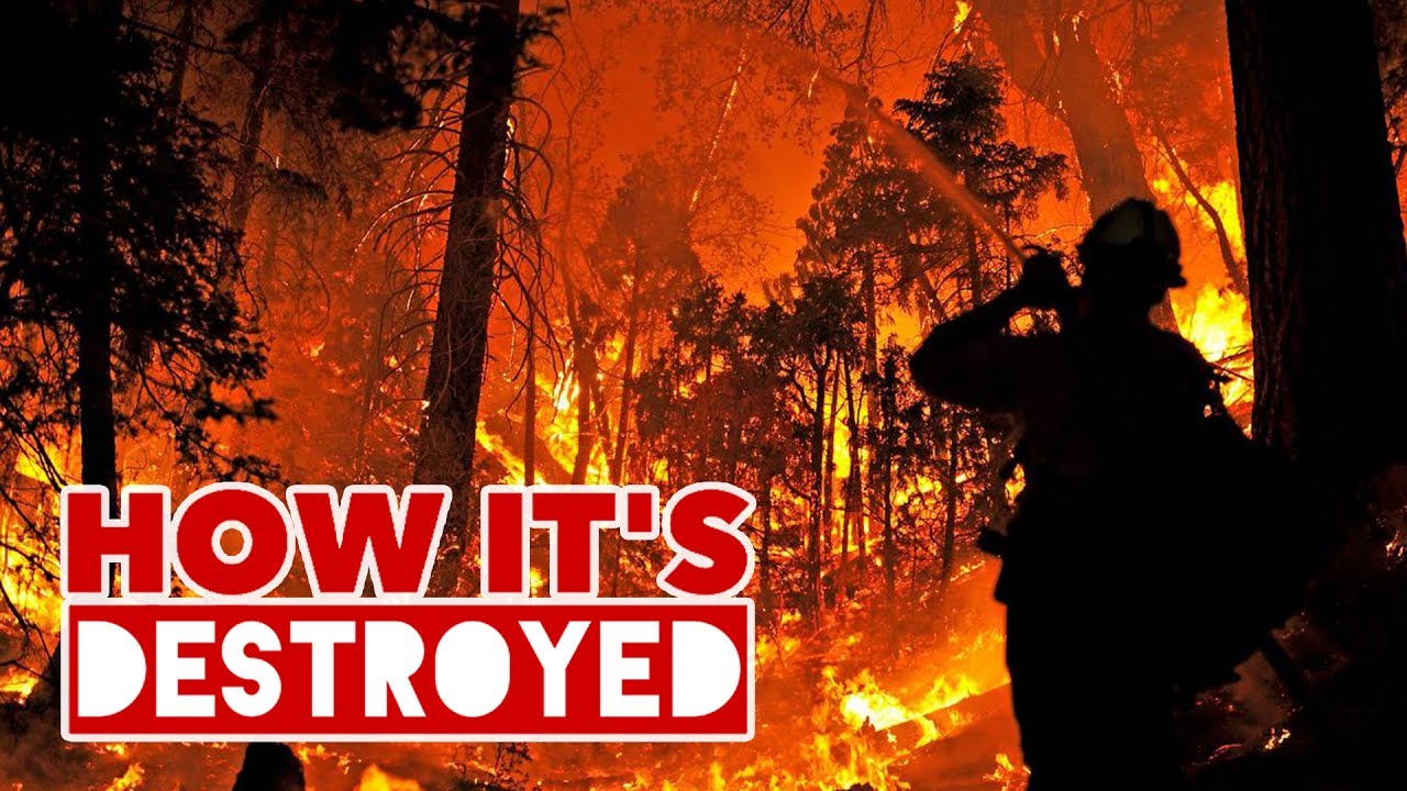 Wildfires - HOW IT'S DESTROYED