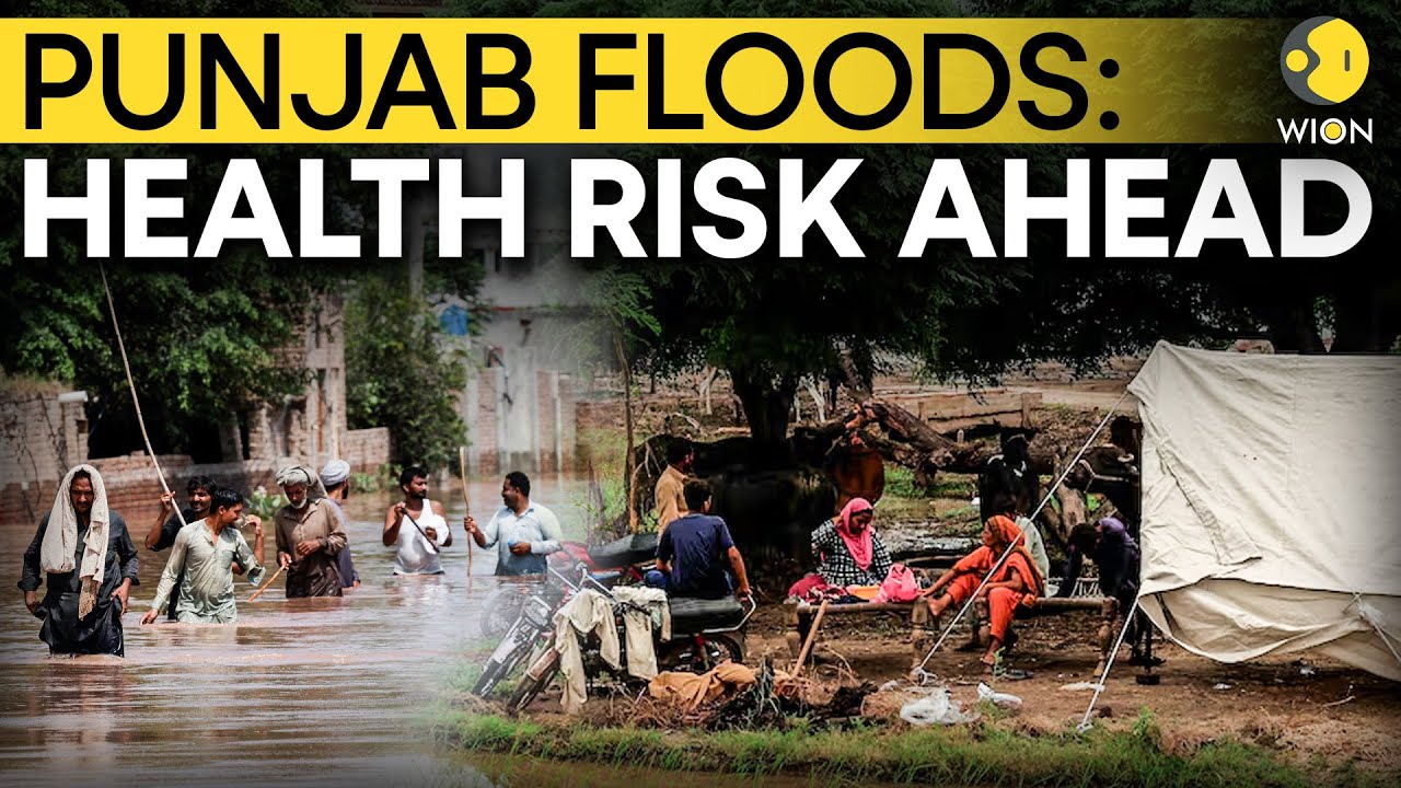 Punjab Floods: Health Officials Warn of Disease Risk as Waters Recede | WION Originals