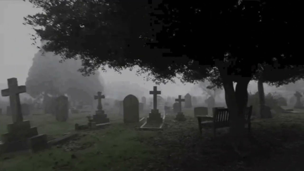 Lalleshwari (Katie Jane Garside) - Roadkill ♱ [slowed & reverb] 