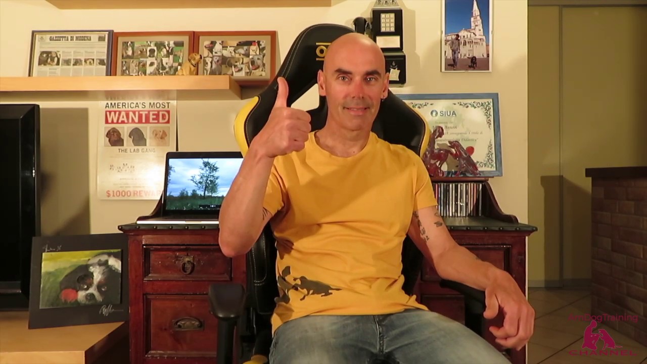 La passeggiata con il cane, come migliorarla