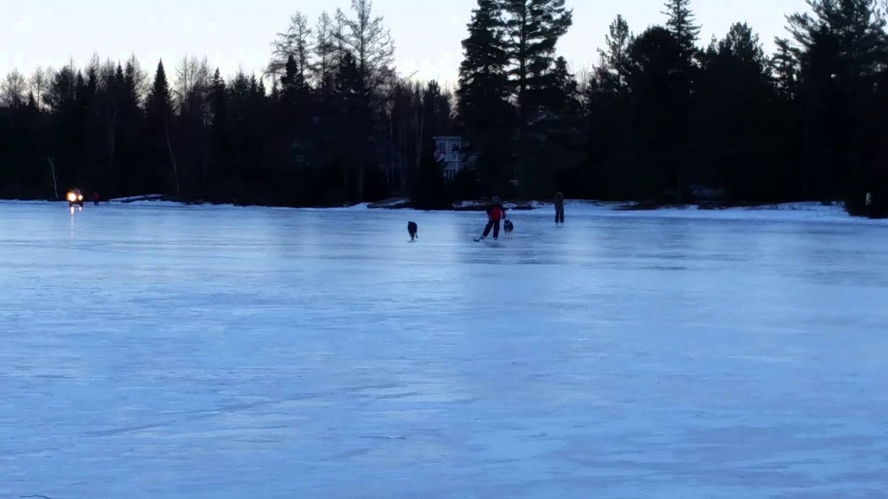 Dylan racing the dogs on Lac Archambault