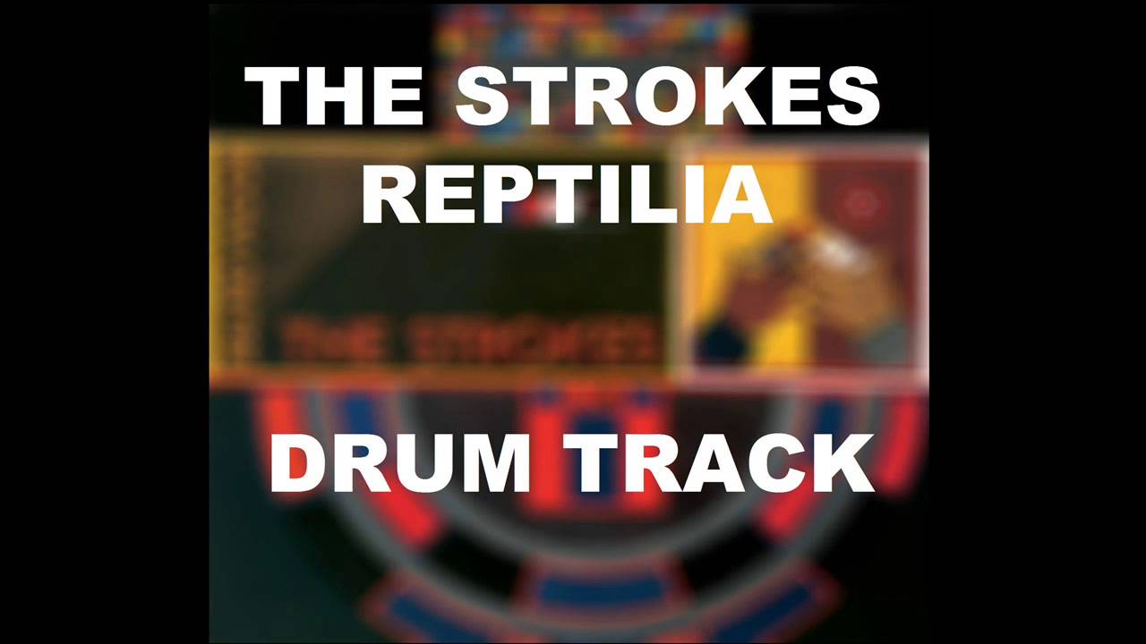 The Strokes Reptilia | Drum Track |