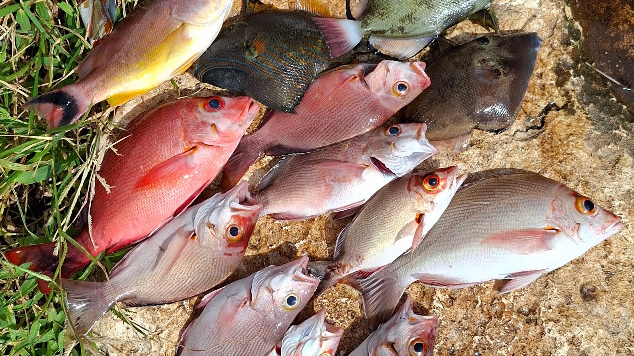Mancing di sini,di suguhi panorama yang indah dan menakjubkan#rockfishing #pantaimboyo