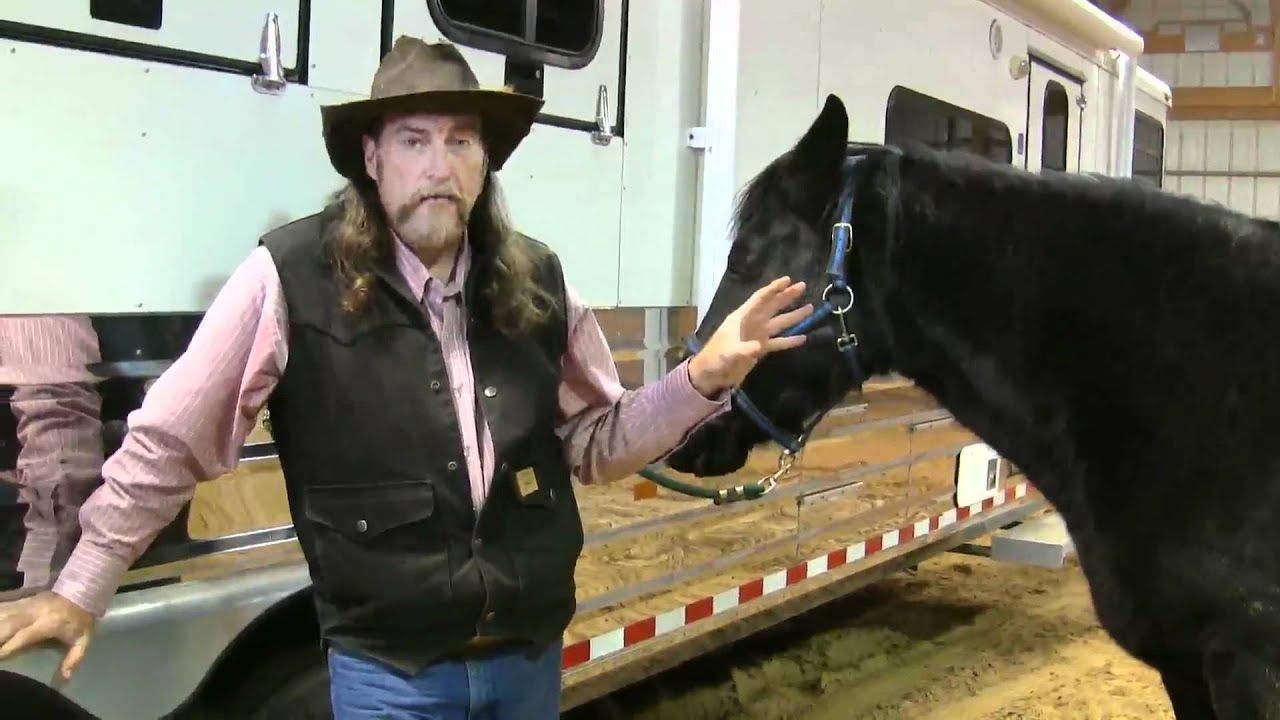 How Horses chew their food and use their teeth ! stall13.com videos