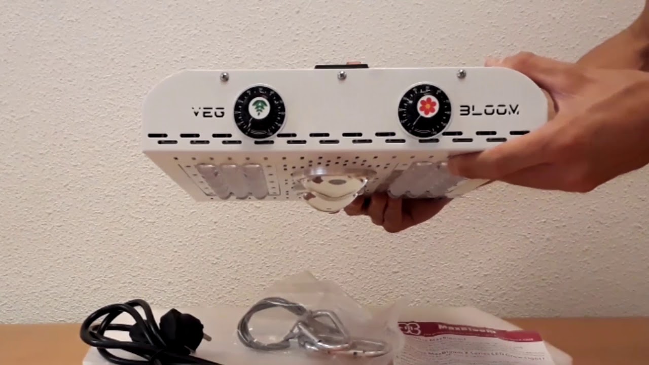 maxbloom x4 plus