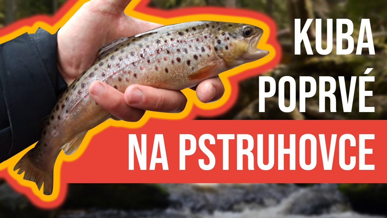 Pstruhové zahájení z malého potoka