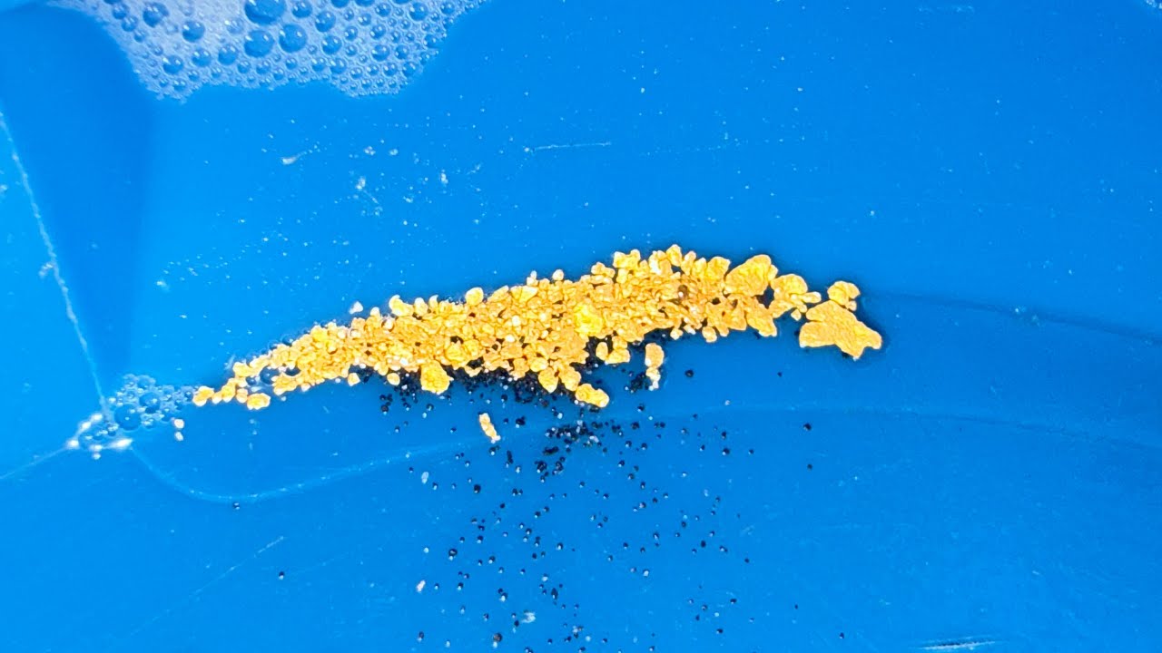 Does the Araluen Creek still hold gold?