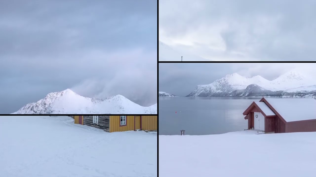 High North 2026