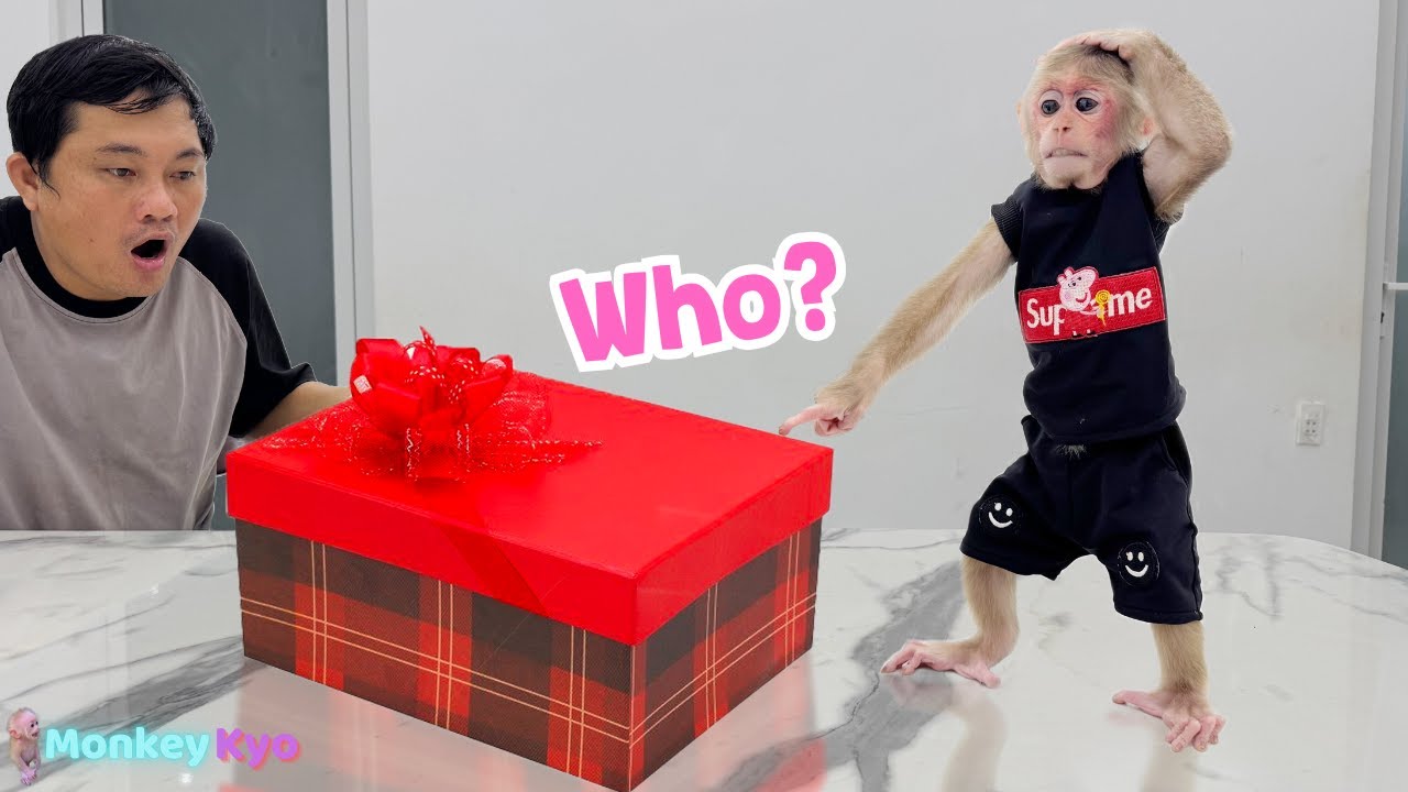 Dad Rushes to Find Kyo and Bring Her Home – A Big Gift from Fans Awaits!