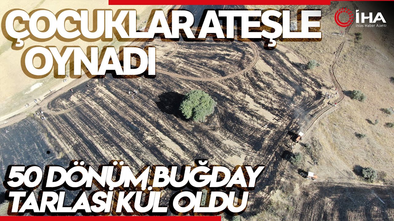 Çocukların Yaktığı Ateş 50 Dönüm Buğday Tarlasını Kül Etti