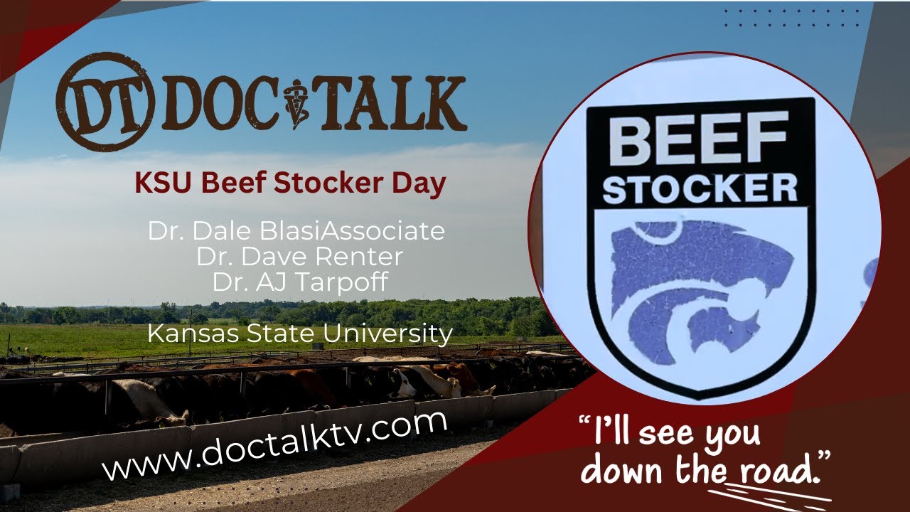 DocTalk Ep 700 Doc Talk  Beef Stocker Day at Kansas State University