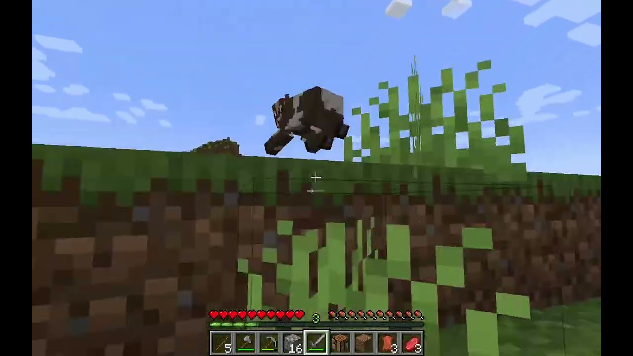 Minecraft