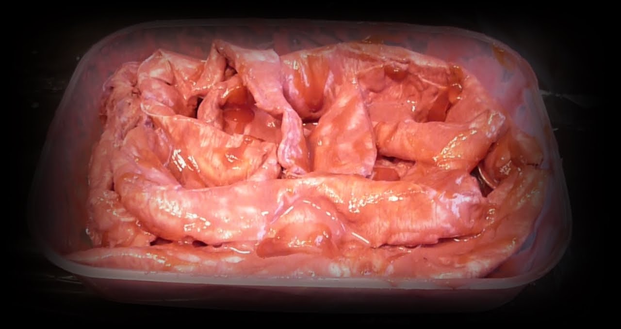 DIY - TRIPAS FALSAS - INTESTINOS CASEROS HALLOWEEN