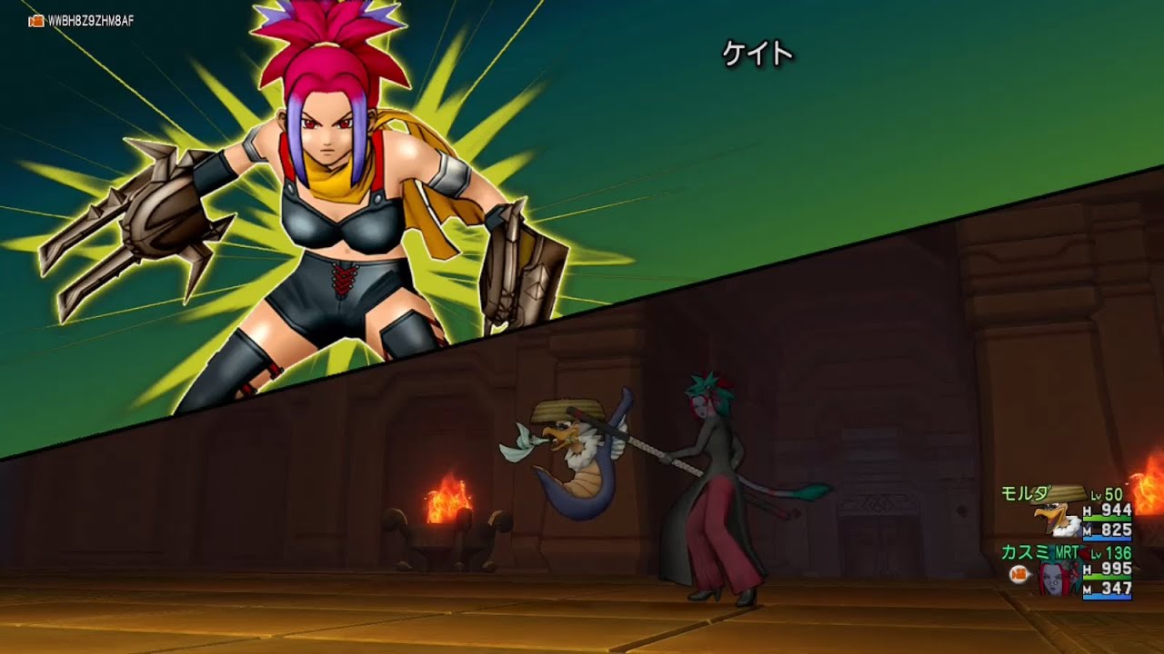 Dragon quest X: Monster duo battle (Rod Martial Artist) VS Kate