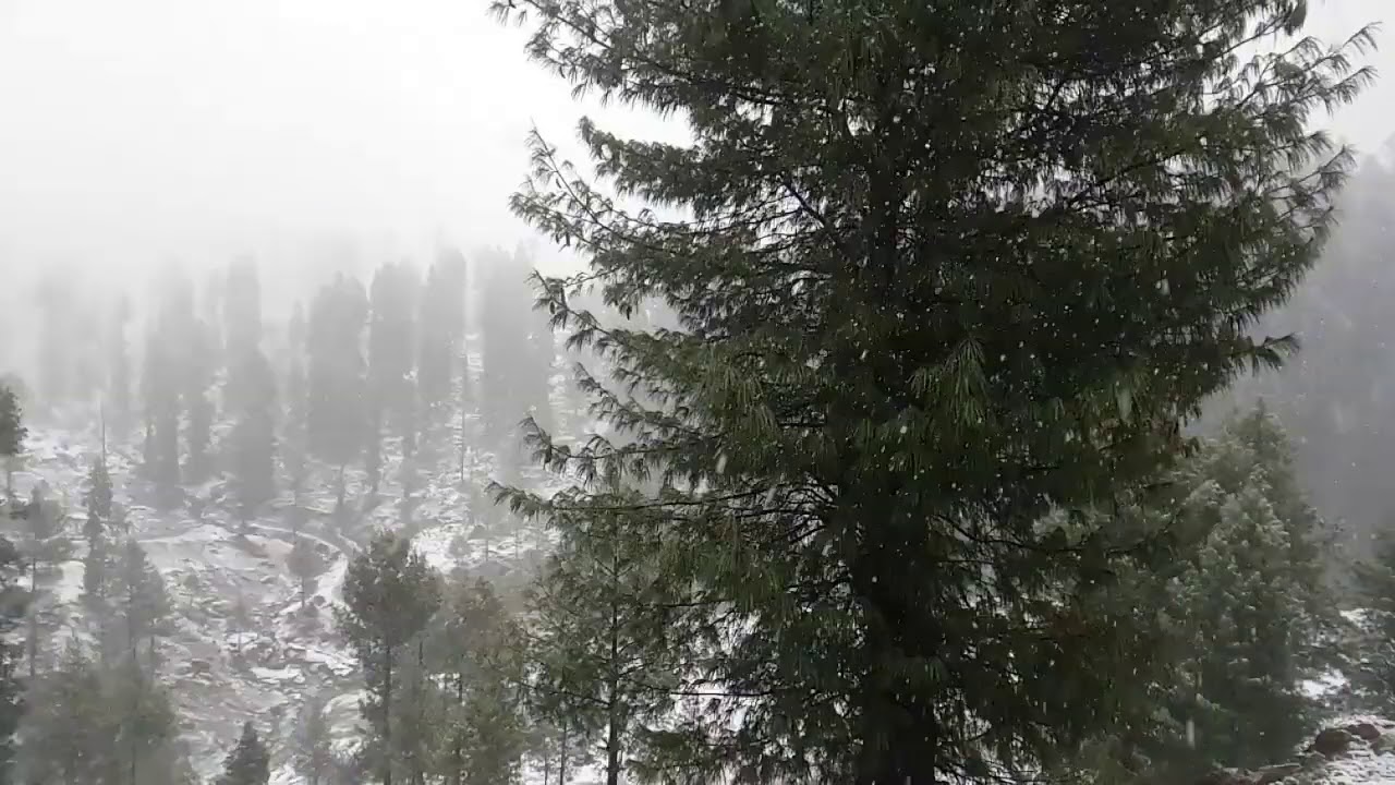 Best Winter/ Snowfall status