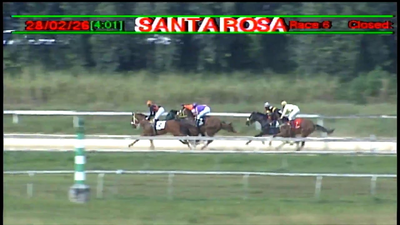 Arima Race Club - Live Stream