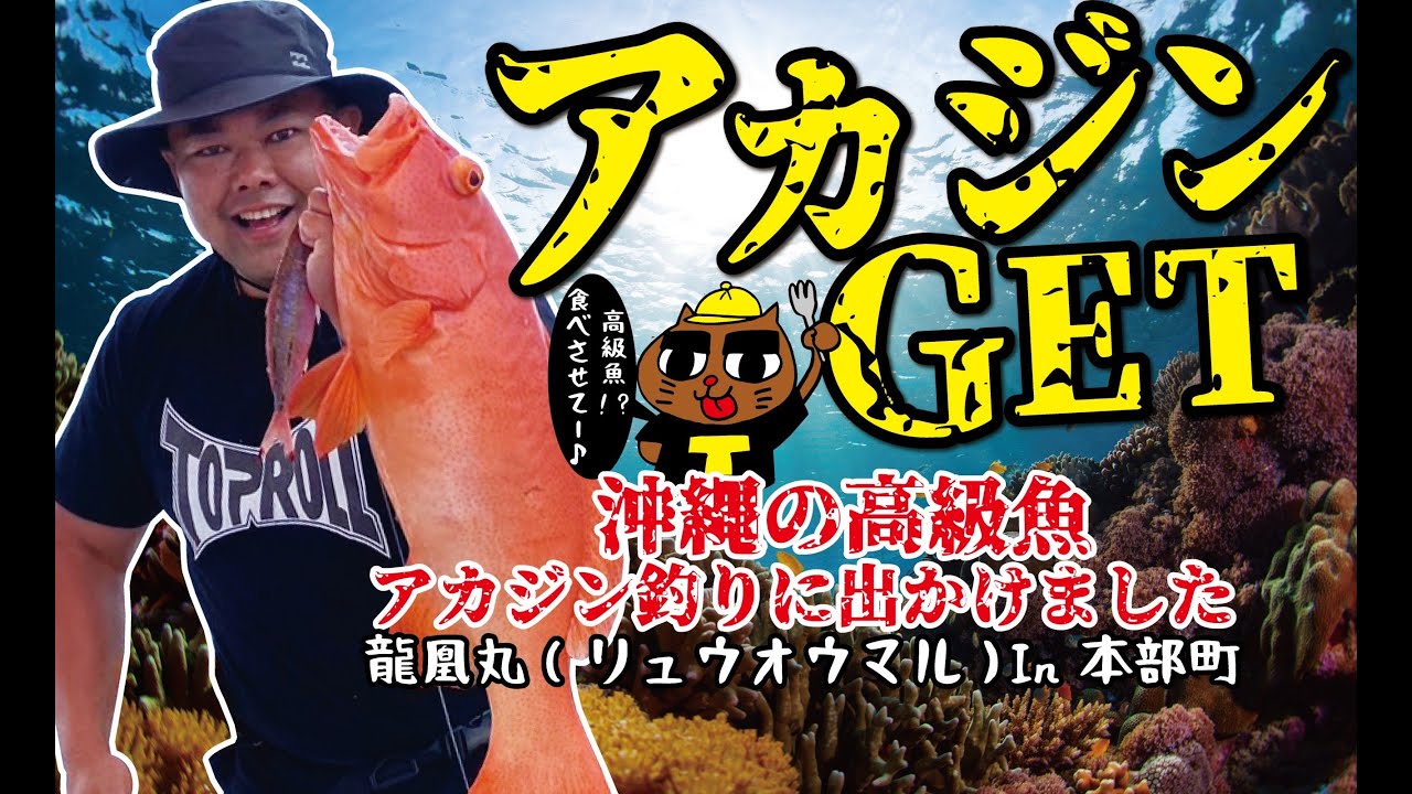 【アカジンミーバイ】龍凰丸 in 本部町。高級魚アカジンを狙い、沖釣りへ！