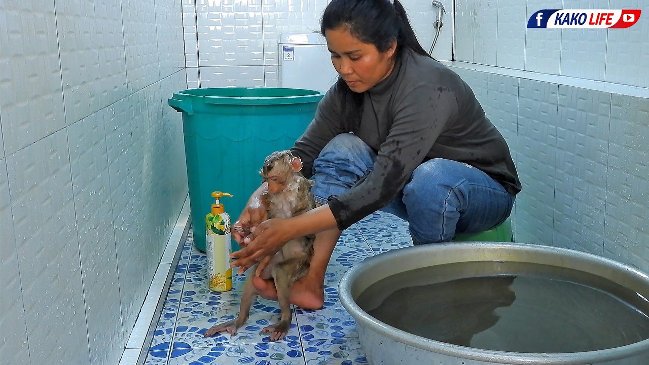 Little Valen Taking Bath And Swim In Big Bowl