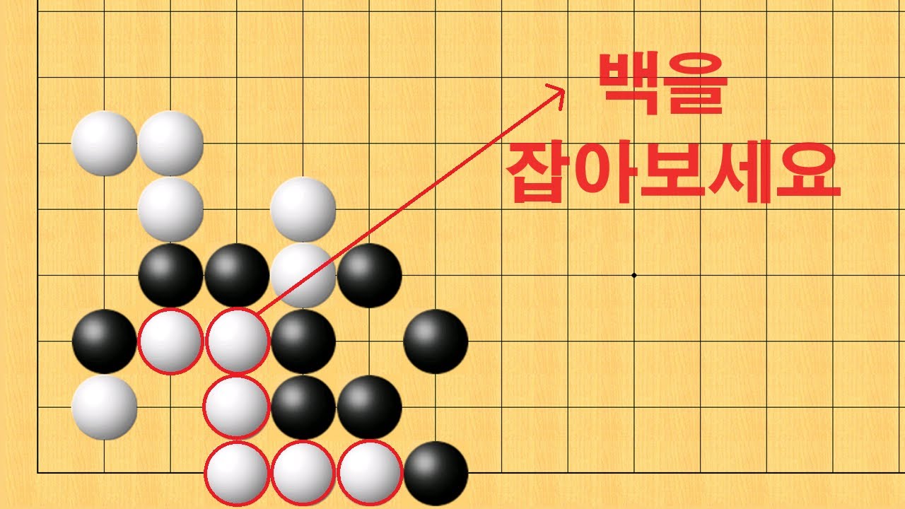 바둑 맥점 사활 - 세상에 이런 수가? 백을 잡아보세요
