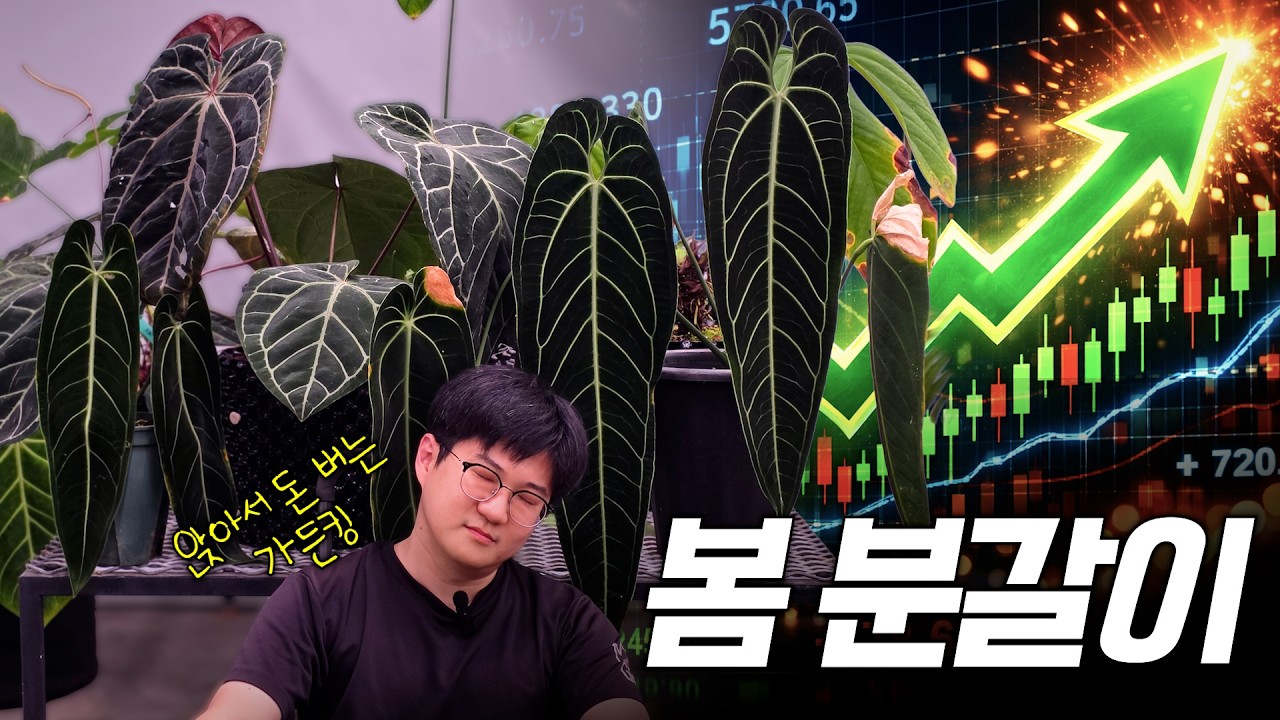 코스피야 아무리 올라봐라 내가 주식하나 분갈이하지 ㅣ 봄 맞이 분갈이🐝