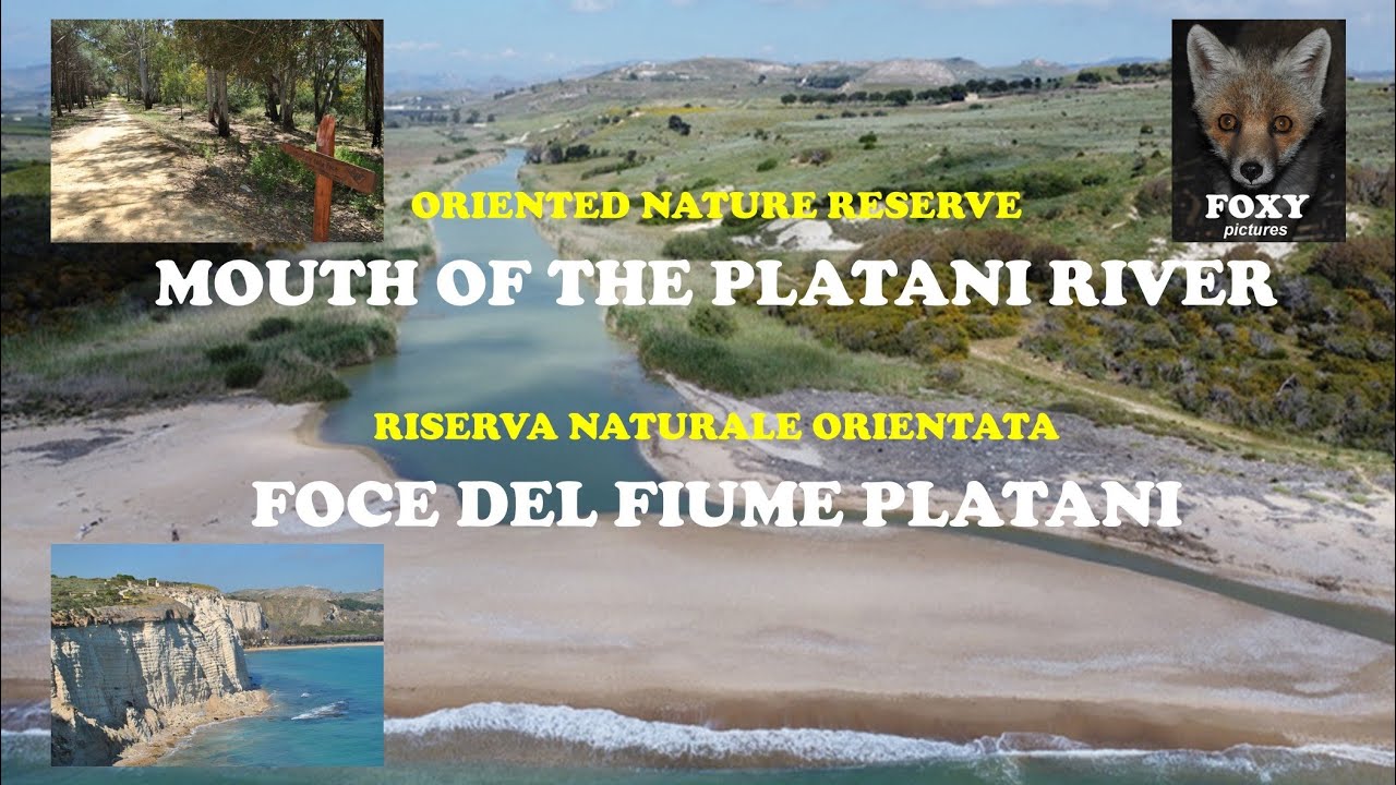 Riserva naturale 