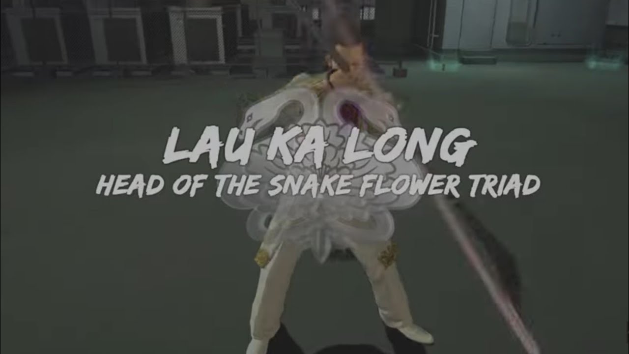 LONG FIGHTERS 