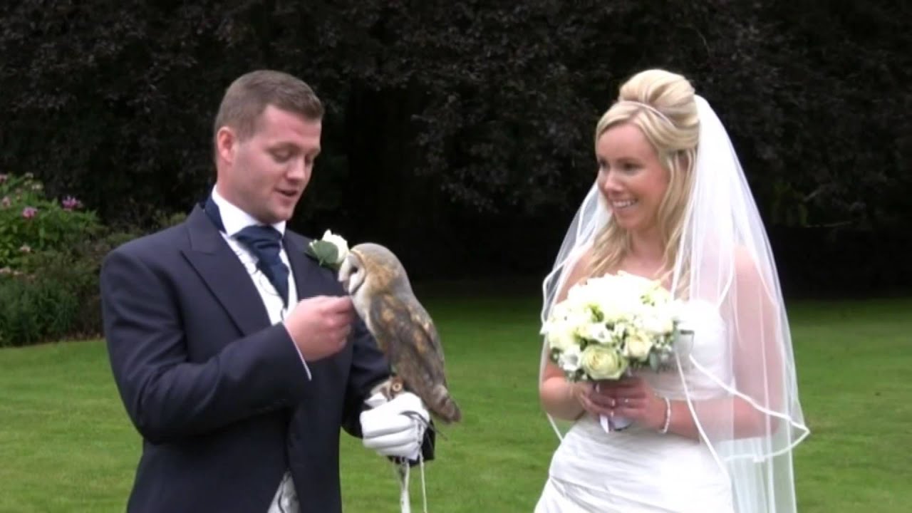 Celtic Owl Ring Bearer