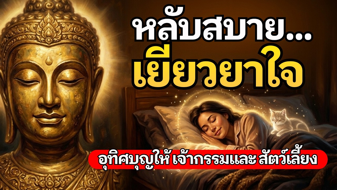 หลับสบาย เยียวยาใจ อุทิศบุญให้เจ้ากรรมและสัตว์เลี้ยง ฟังก่อนนอนสวดมนต์แผ่เมตตาจิตสงบ