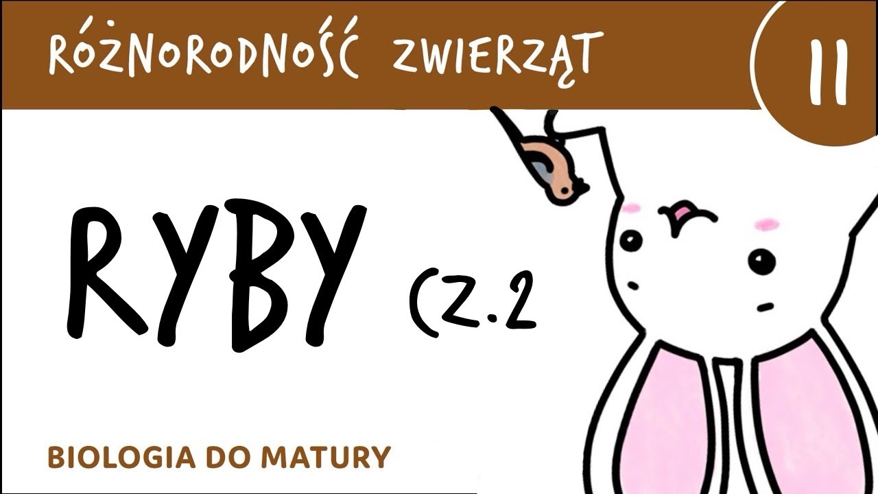 Różnorodność zwierząt 11 🐸 Ryby cz.2 - biologia do matury