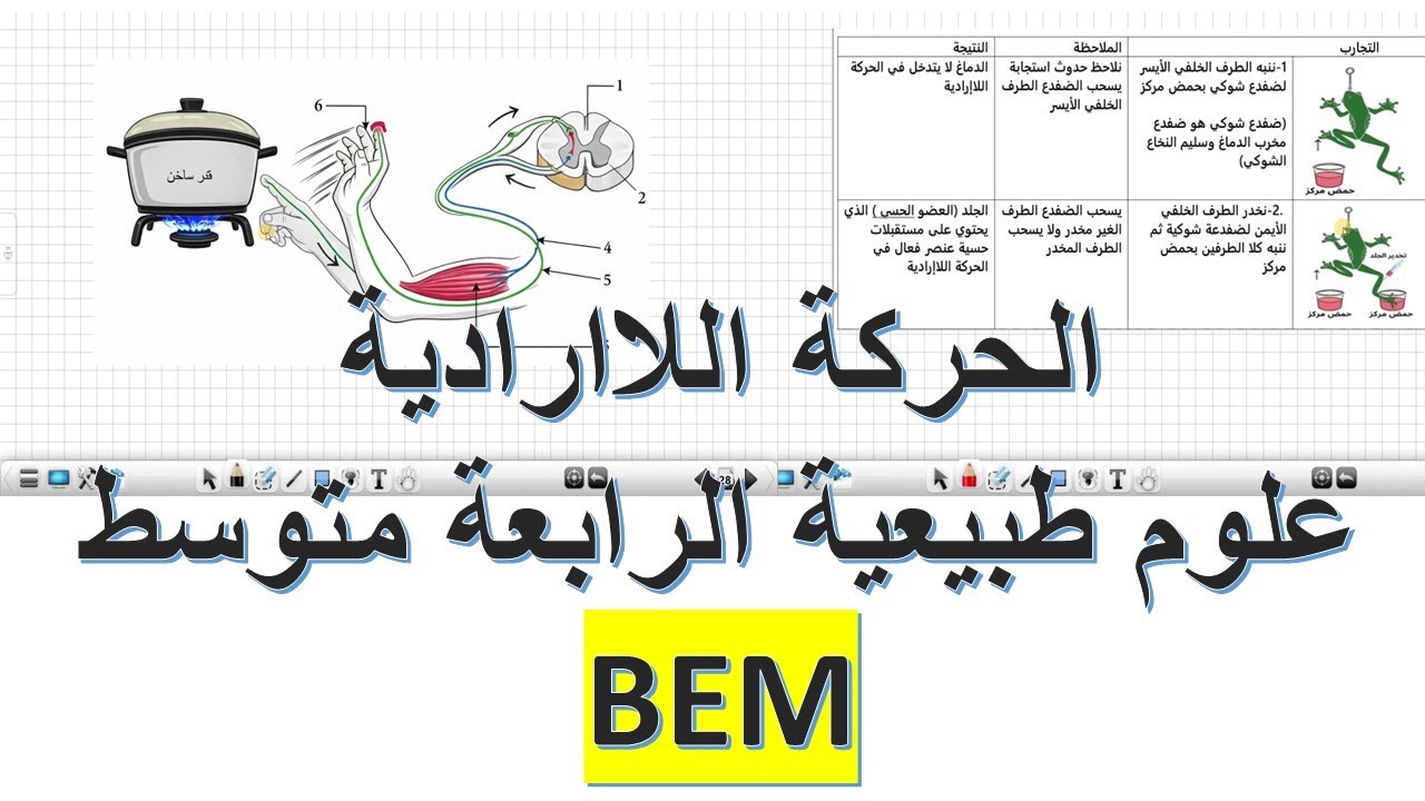 الحركة اللاارادية , الاتصال العصبي علوم طبيعية السنة الرابعة متوسط