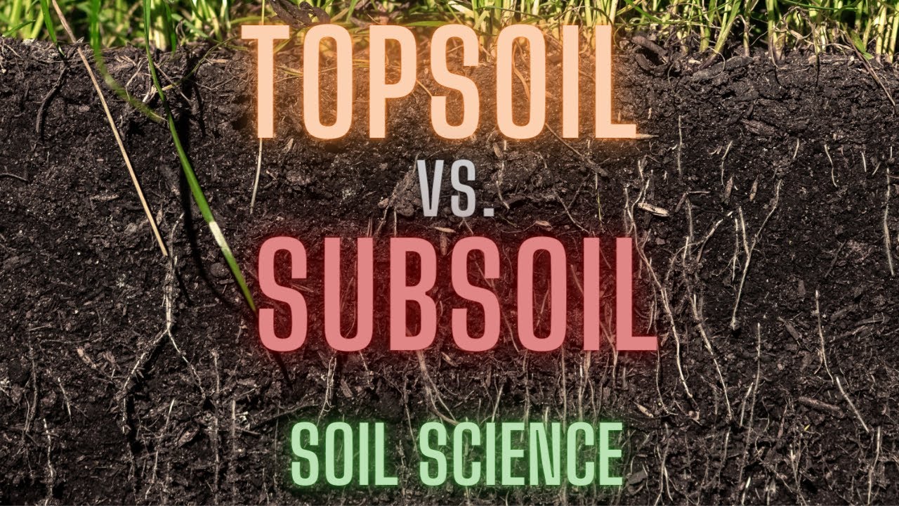 The Differences Between Topsoil & Subsoil