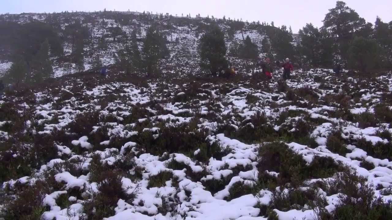 WEMSI: Wilderness Emergency Medical Technician course (14mins)