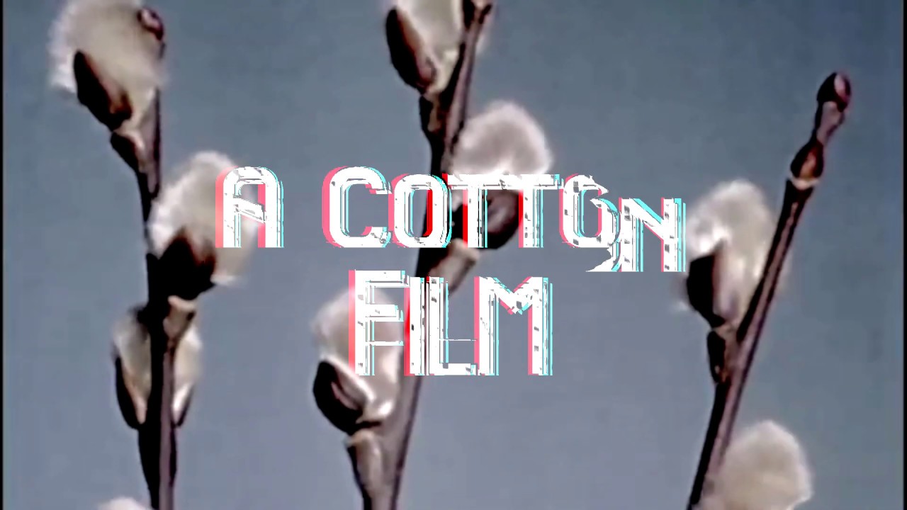 A Cotton Film Intro