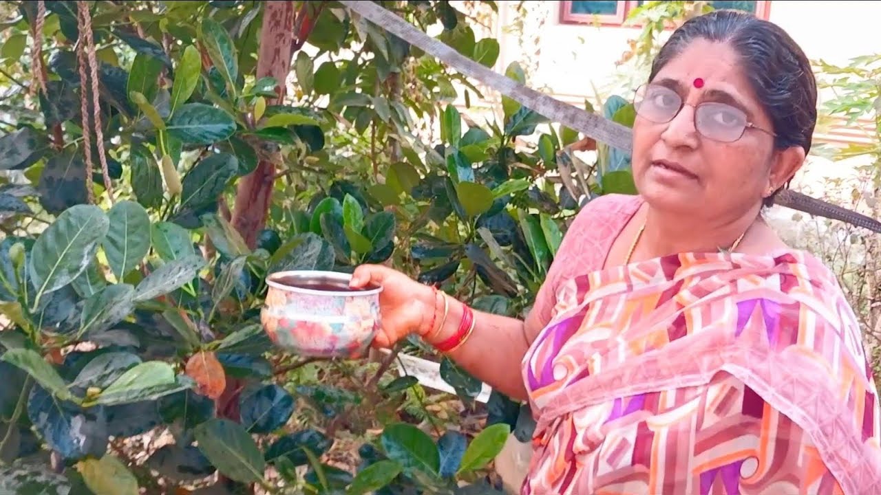అస్సలు అనుకోలేదు పనస చెట్టుకి ఇలా జరుగుతుందని... 😰 మీకు తెలిస్తే చెప్పండి 