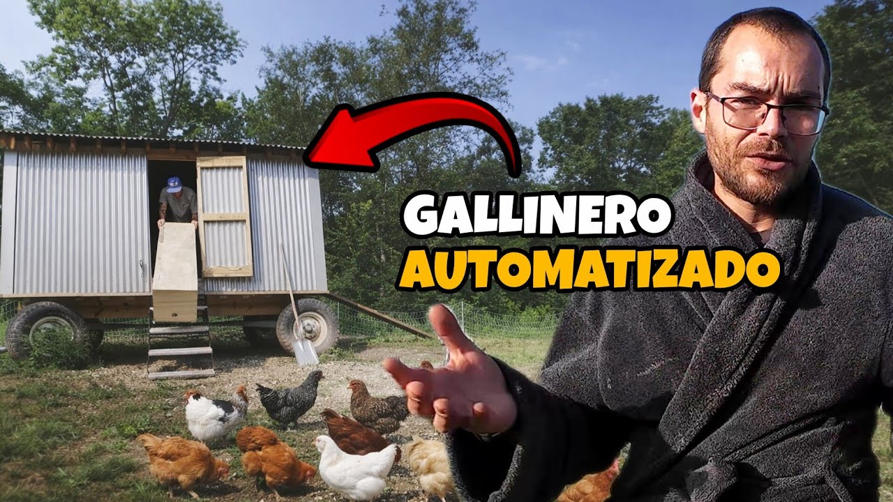 Así puedes automatizar tu gallinero y ahorrar tiempo en el cuidado de las gallinas.